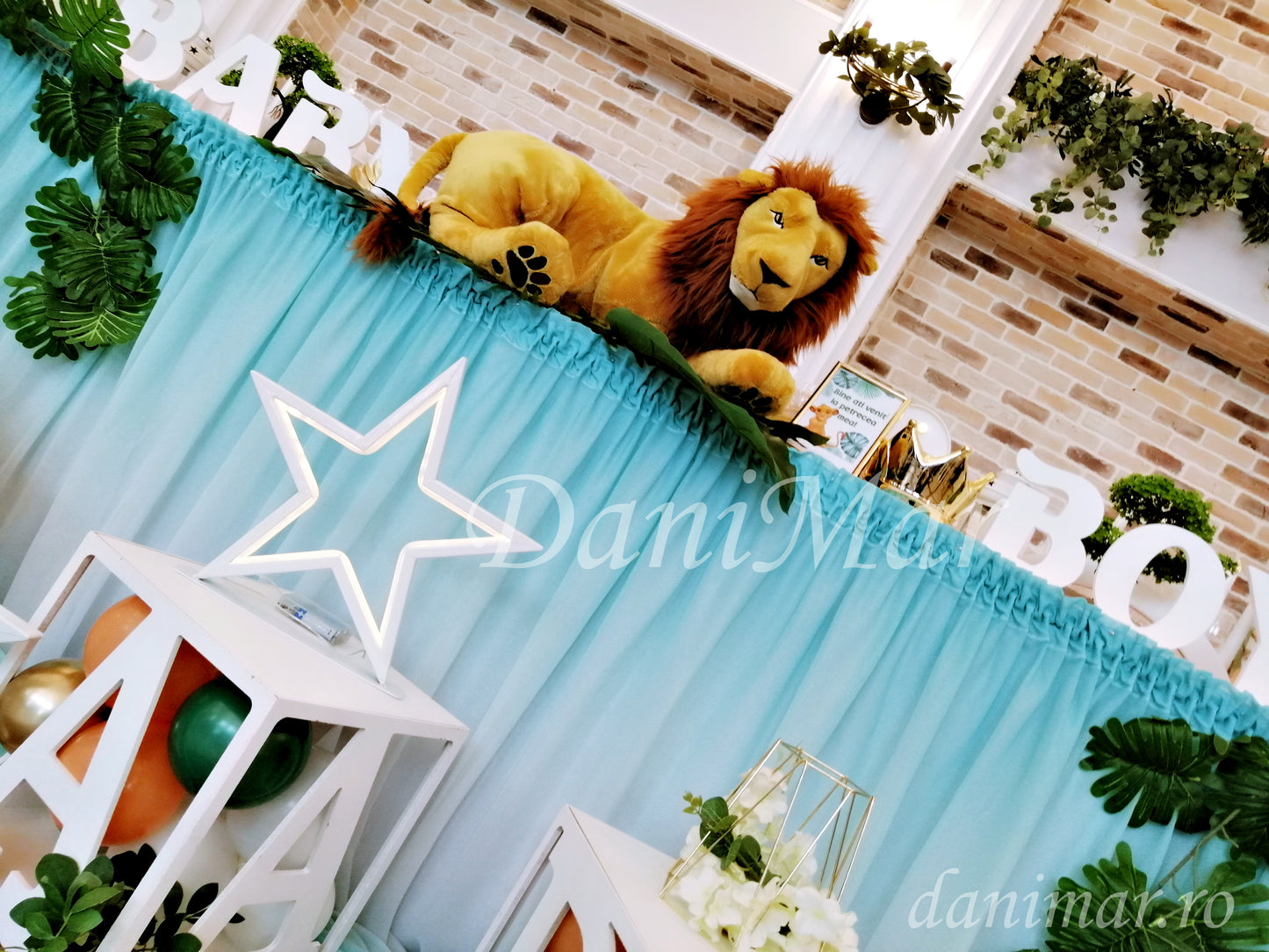Decor botez Jungle - Regele Leu Simba