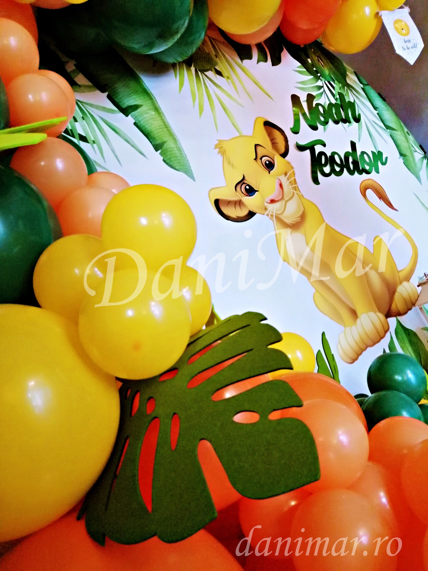 Decor botez Jungle - Regele Leu Simba