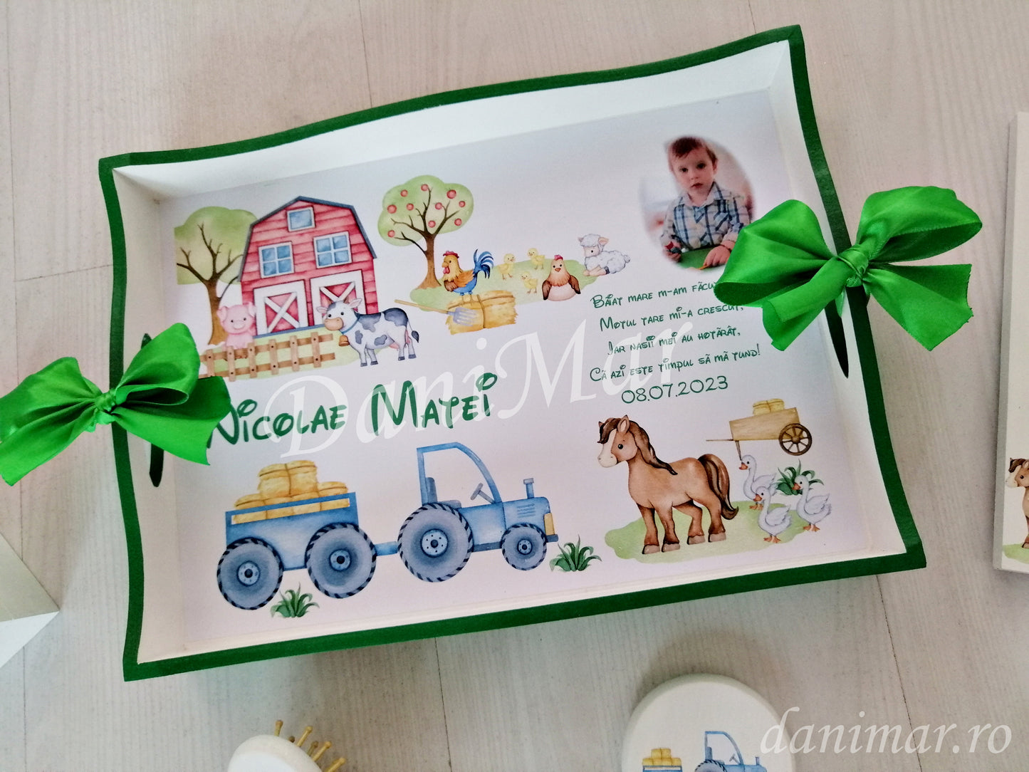 Set tavita mot baietel - Ferma animale domestice