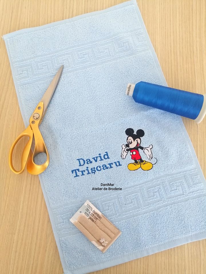 Prosop gradinita Mickey Mouse - DaniMar