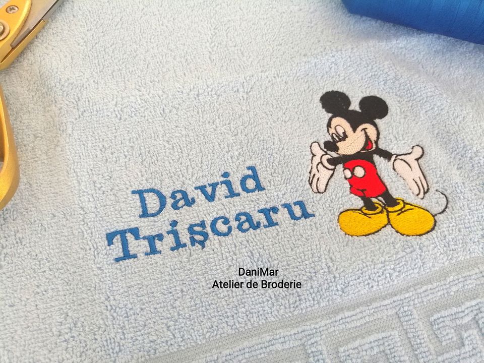 Prosop gradinita Mickey Mouse - DaniMar