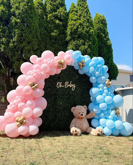 Gender Reveal 1