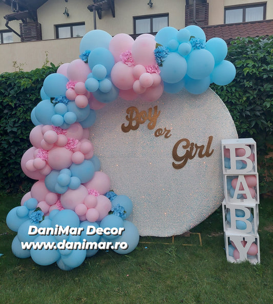 Gender Reveal 5