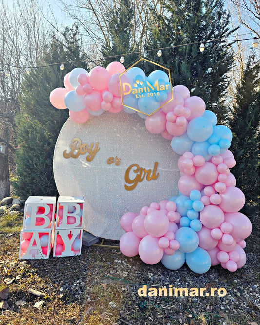 Gender Reveal 2
