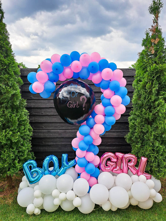 Gender Reveal 5