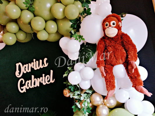 Decor Botez 6