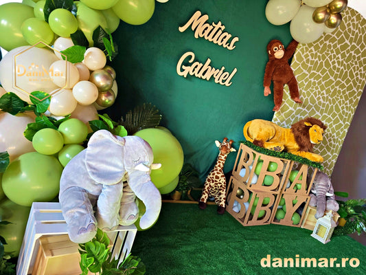 Decor Botez 2