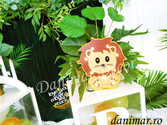 Decor Botez 15