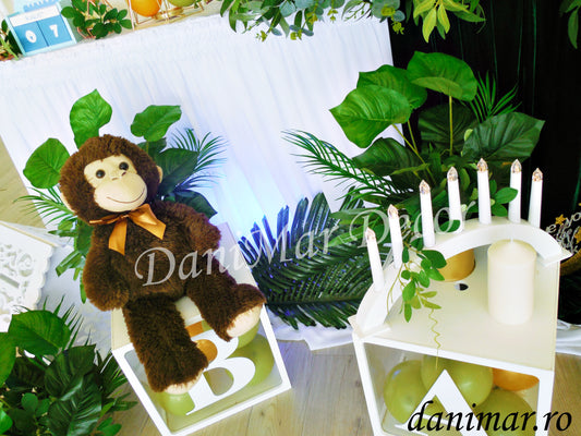 Decor Botez 16