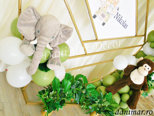 Decor Botez 12