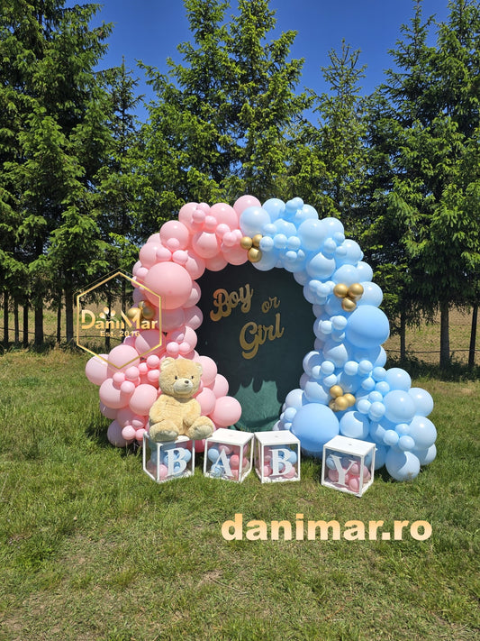 Gender Reveal 1