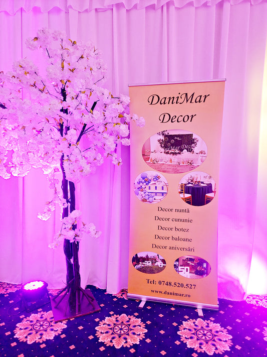 Decor Botez 34
