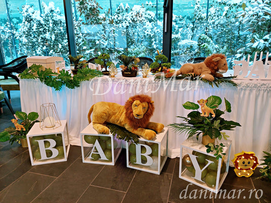 Decor Botez 7