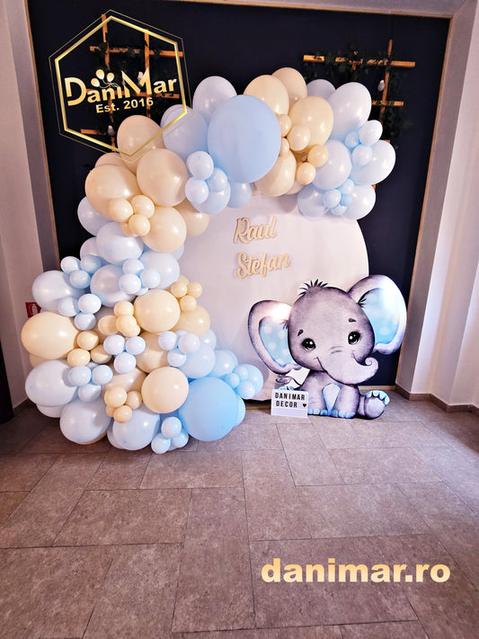 Decor Botez 2