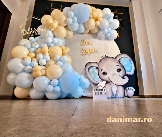 Decor Botez 1