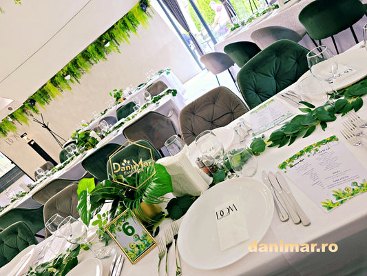 Decor botez Dinozauri 8
