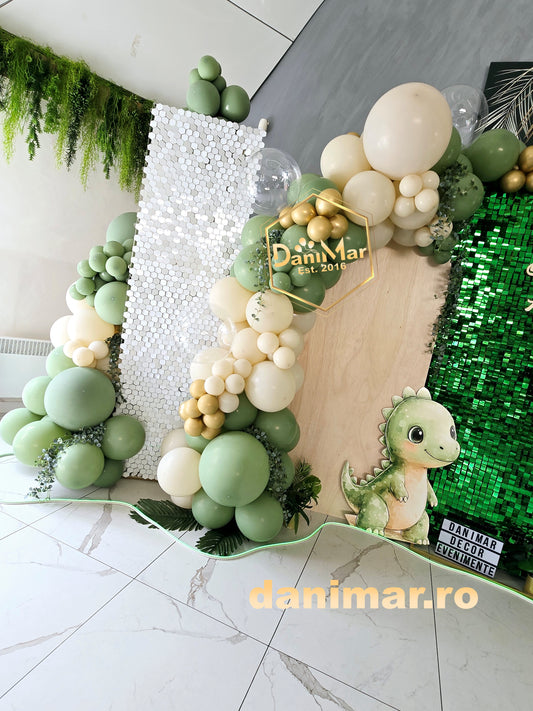 Decor botez Dinozauri 5