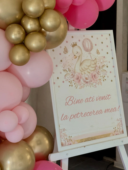 Despre noi 11