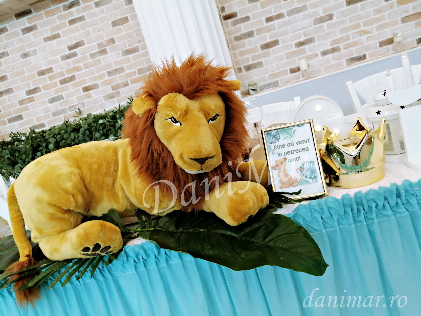 Decor botez Jungle - Regele Leu Simba