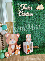 Decor botez baietel - animale de padure