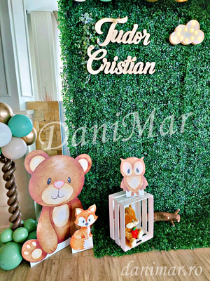 Decor botez baietel - animale de padure