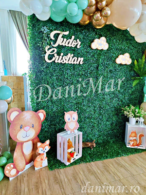 Decor botez baietel - animale de padure