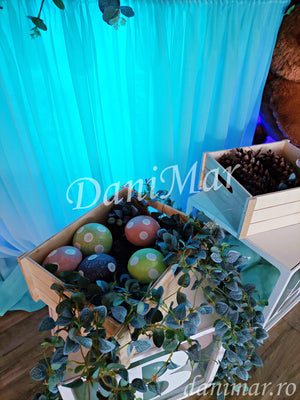Decor botez baietel - animale de padure