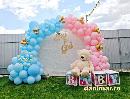 Gender Reveal 3
