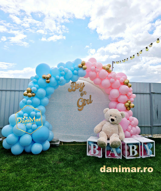 Gender Reveal 4