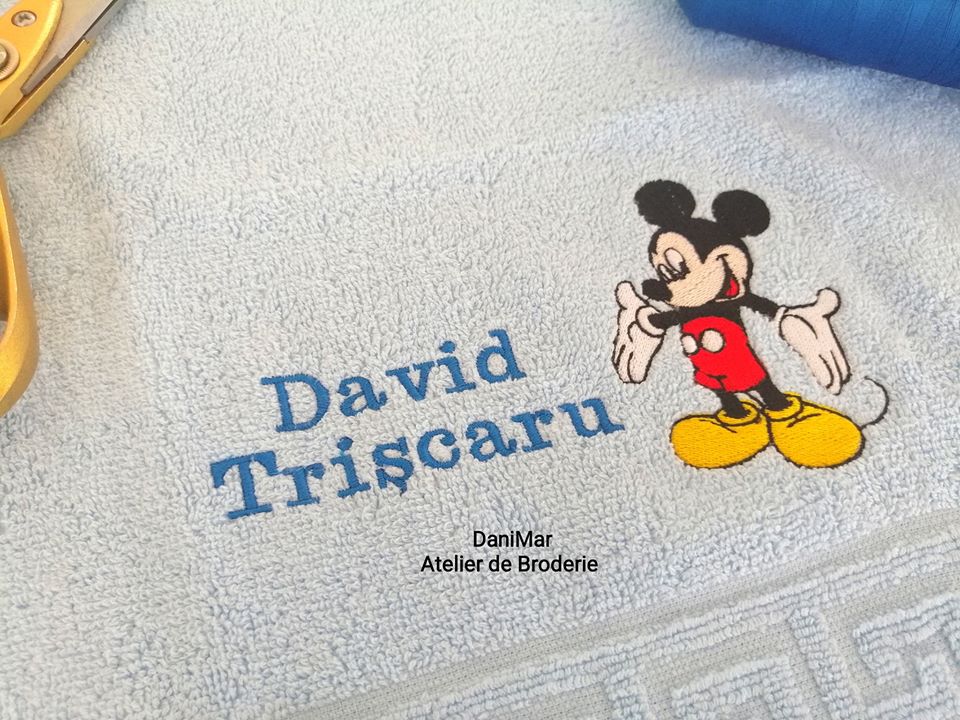 Prosop gradinita Mickey Mouse - DaniMar 